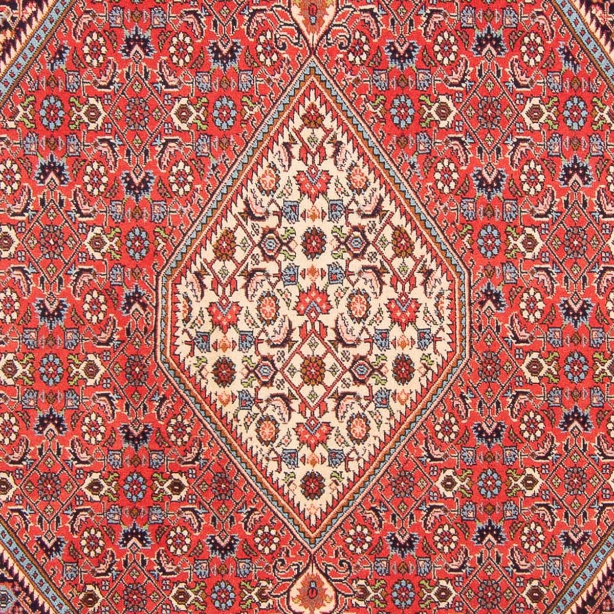 Tapis persan - Bidjar - 267 x 200 cm - rouge