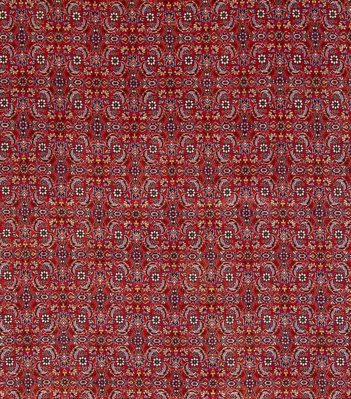 Tapis persan - Bidjar - 347 x 254 cm - rouge