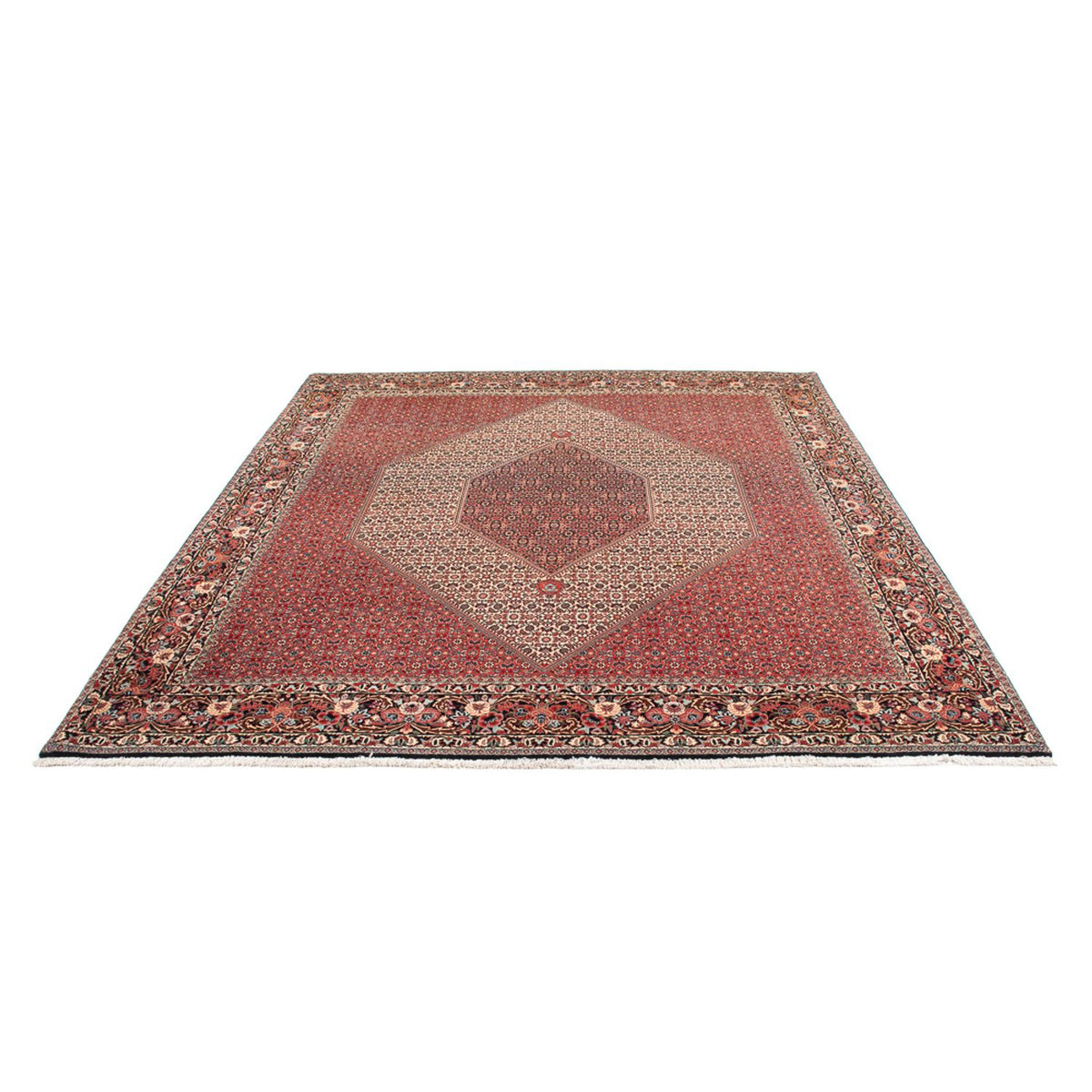 Tapis persan - Bidjar - 300 x 253 cm - crème