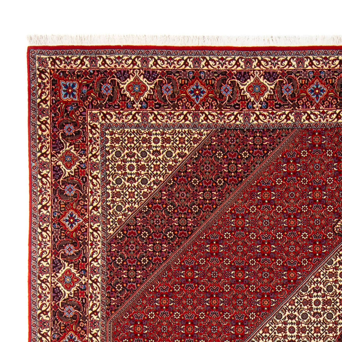 Tapis persan - Bidjar - 301 x 253 cm - crème