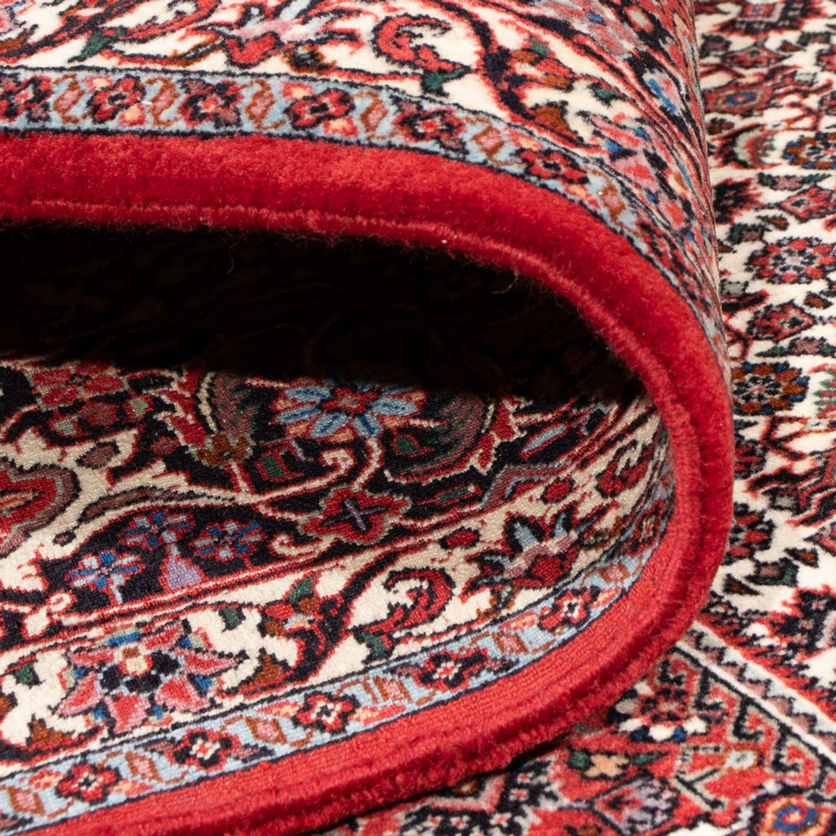 Tapis persan - Bidjar - 301 x 253 cm - crème