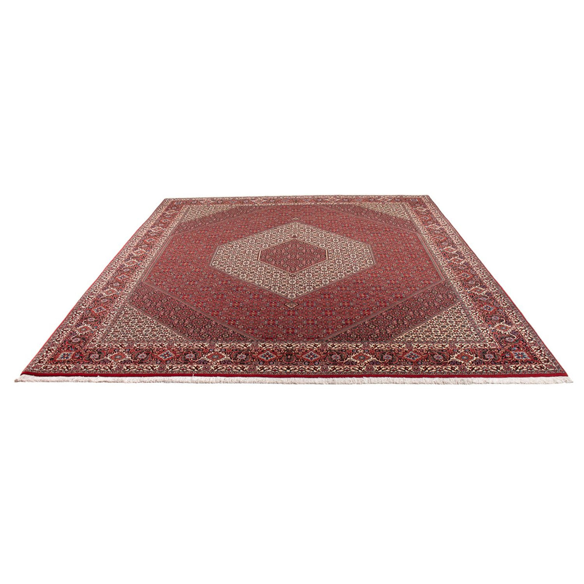 Tapis persan - Bidjar - 301 x 253 cm - crème