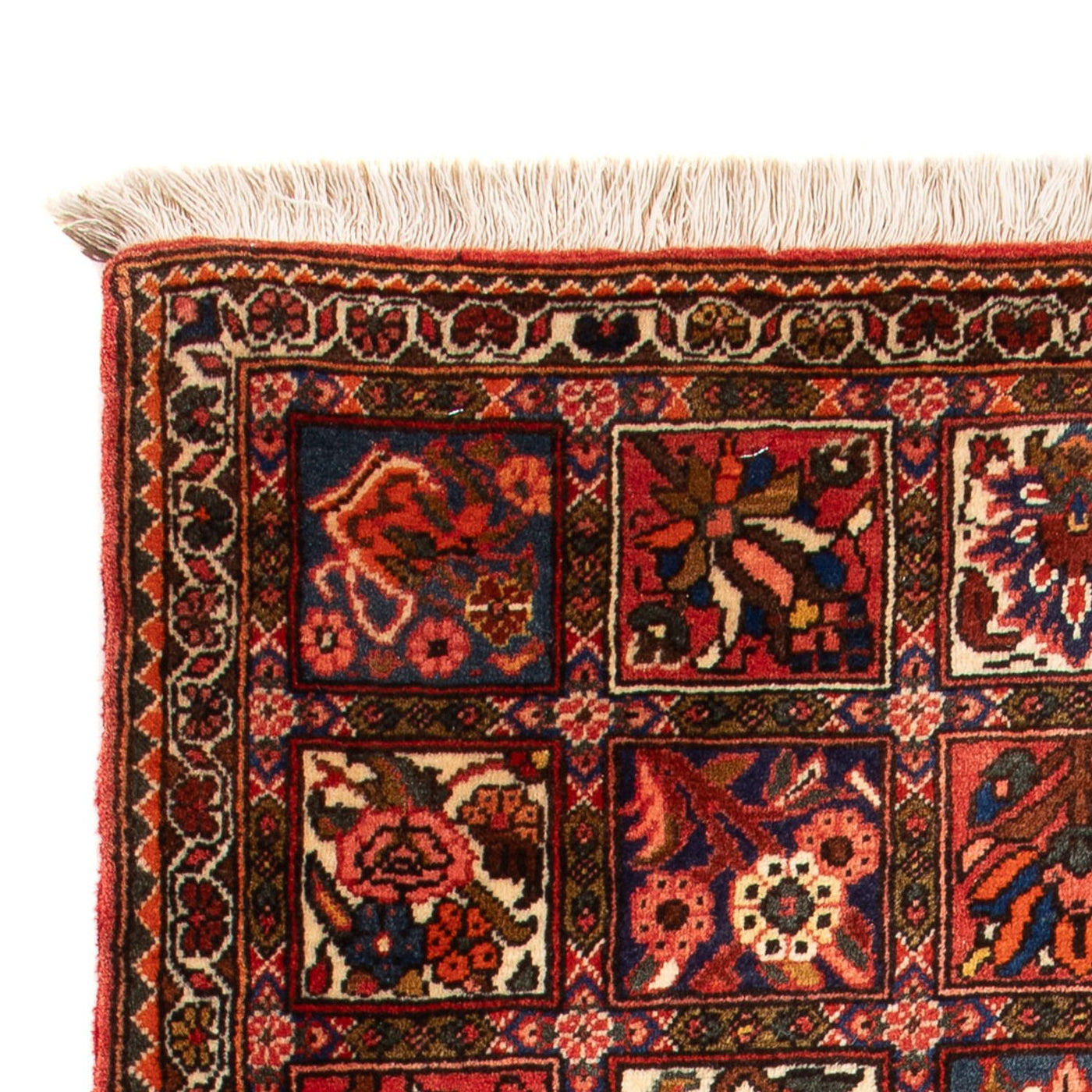 Tapis Bakhtiari Tapis 100x64cm - Tapis persan