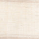 Tapis Gabbeh - Persan - 303 x 215 cm - beige clair
