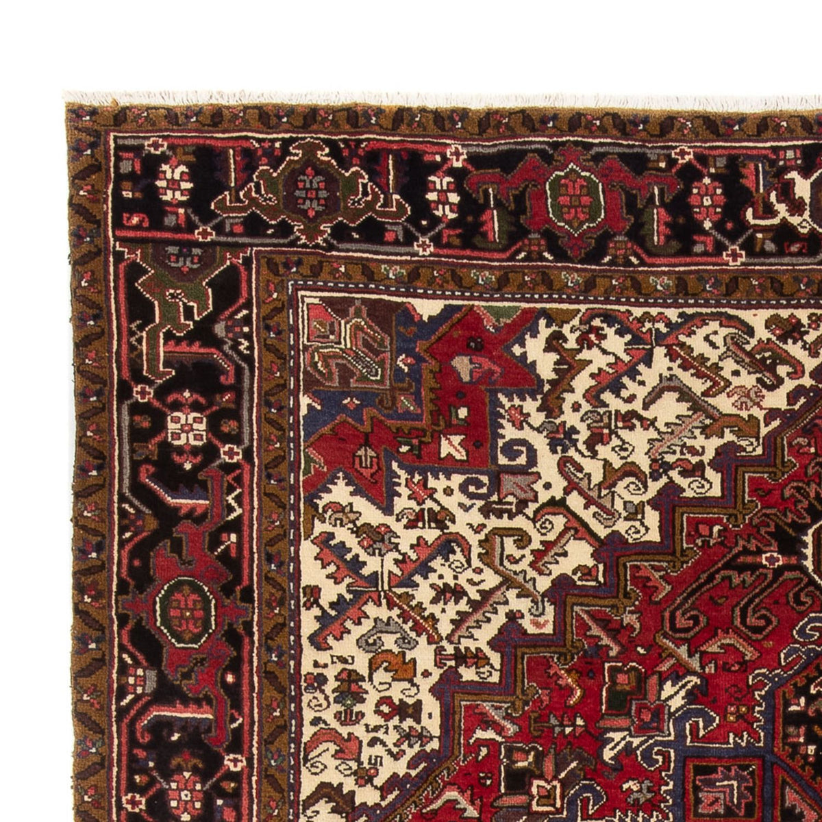 Tapis persan - Nomadic - 334 x 255 cm - crème
