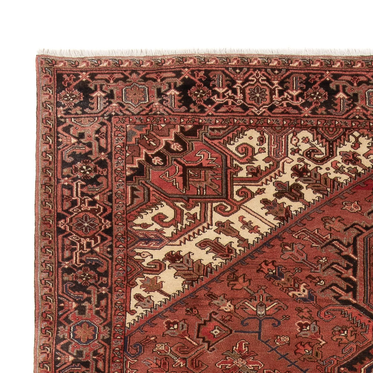 Tapis persan - Nomadic - 350 x 240 cm - terracotta
