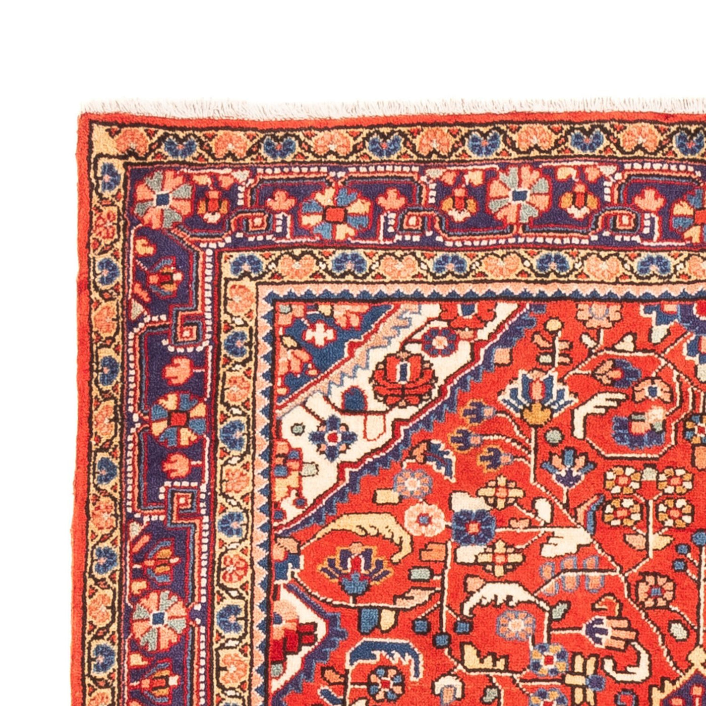Jozan Tapis 160x108cm - Tapis persan