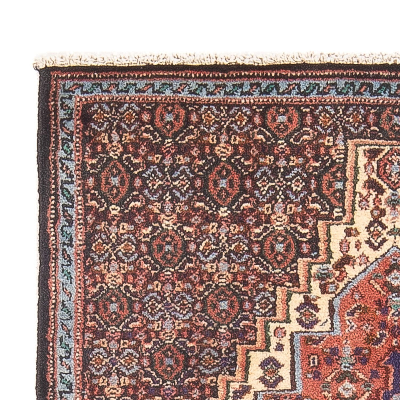 Senneh Tapis 100x73cm - Tapis persan