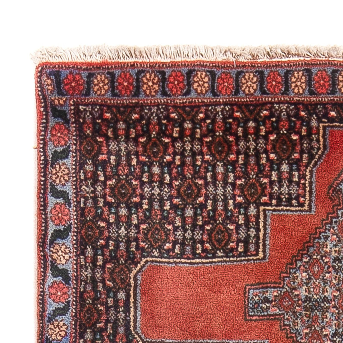 Senneh Tapis 72x108cm - Tapis persan