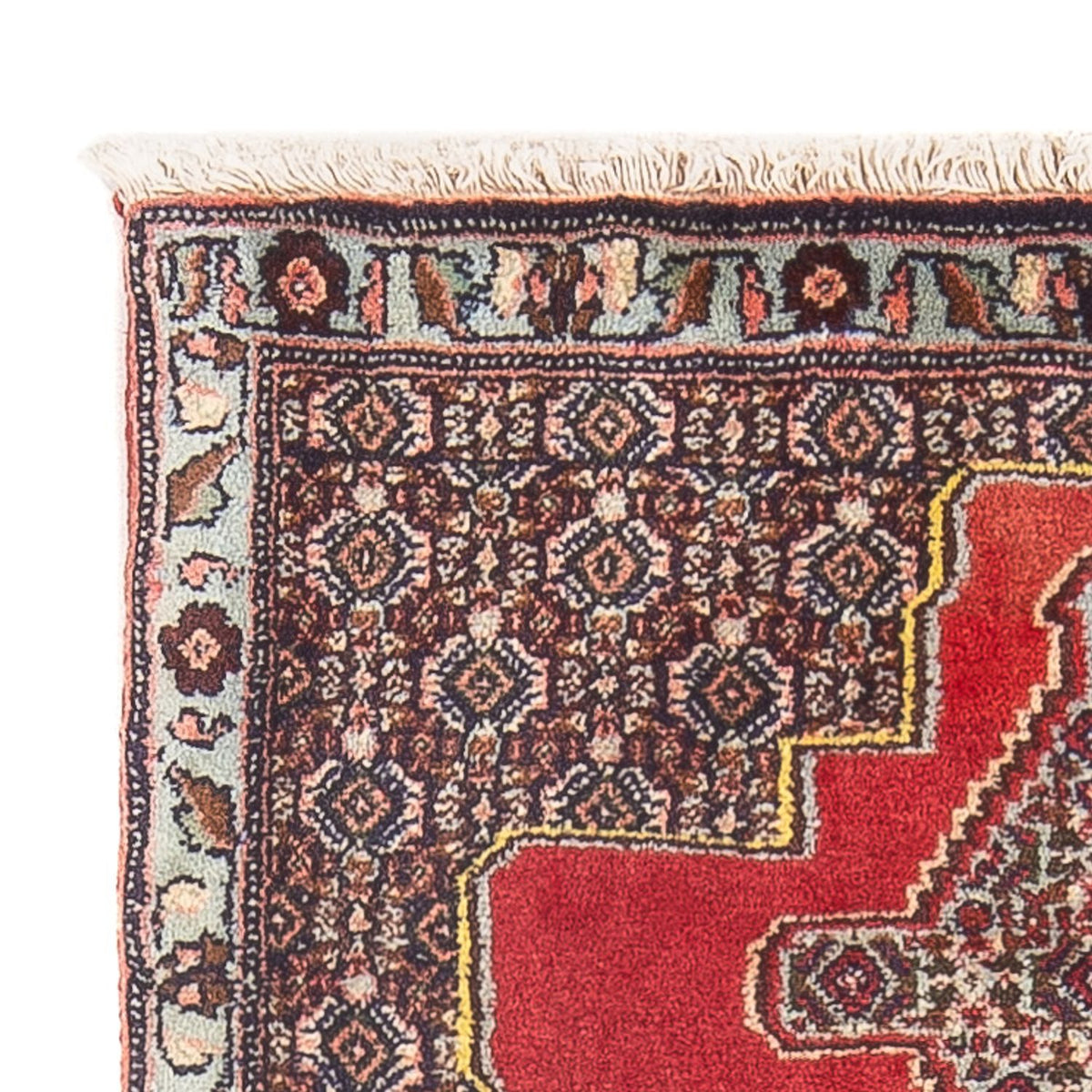 Senneh Tapis 73x106cm - Tapis persan