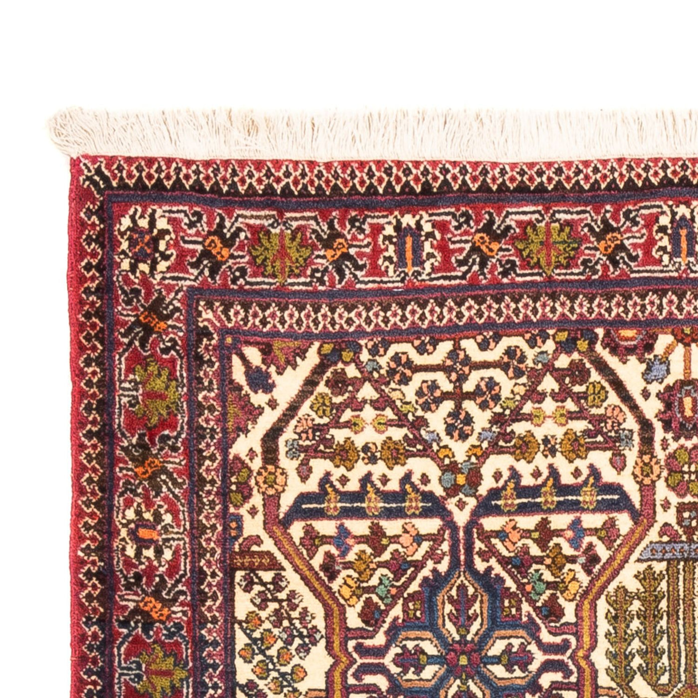 Tapis d'Ardebil Tapis 160x105cm - Tapis persan