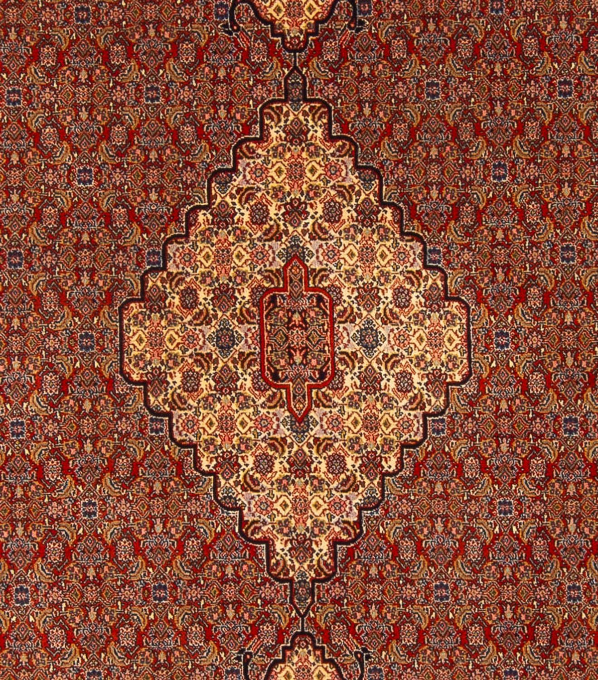 Tapis persan - Nomadic - 358 x 265 cm - rouille