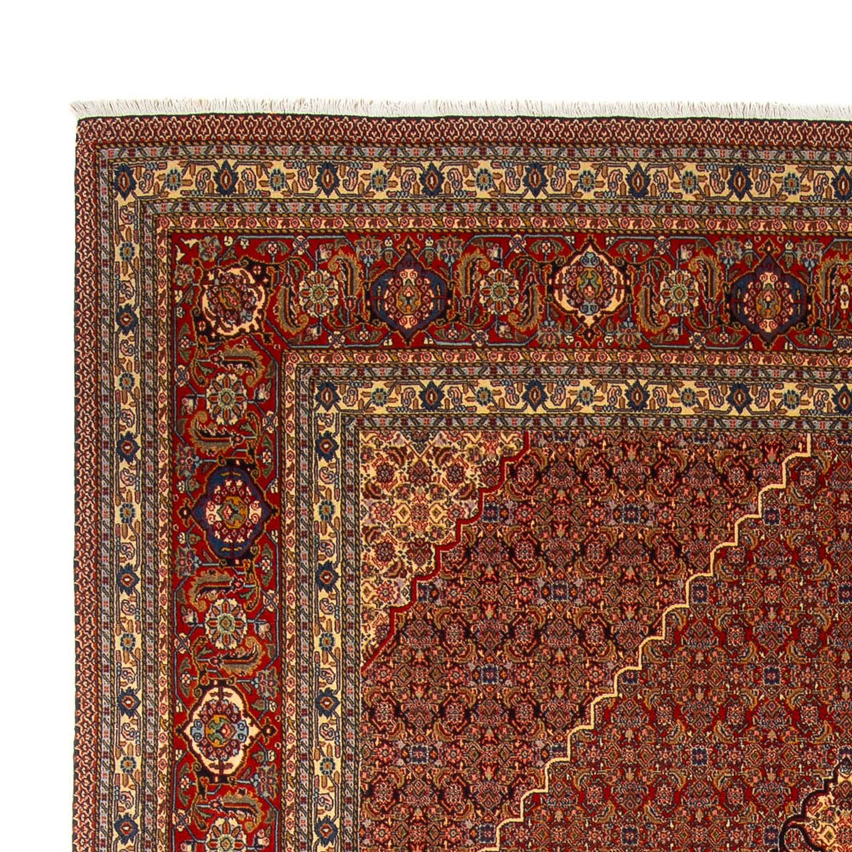 Tapis persan - Nomadic - 358 x 265 cm - rouille