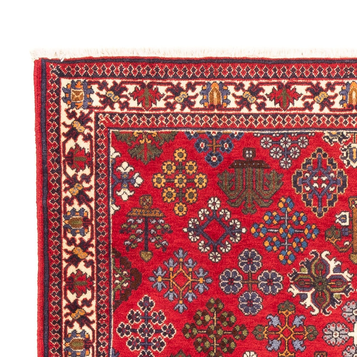 Meymeh Tapis 110x168cm - Tapis persan