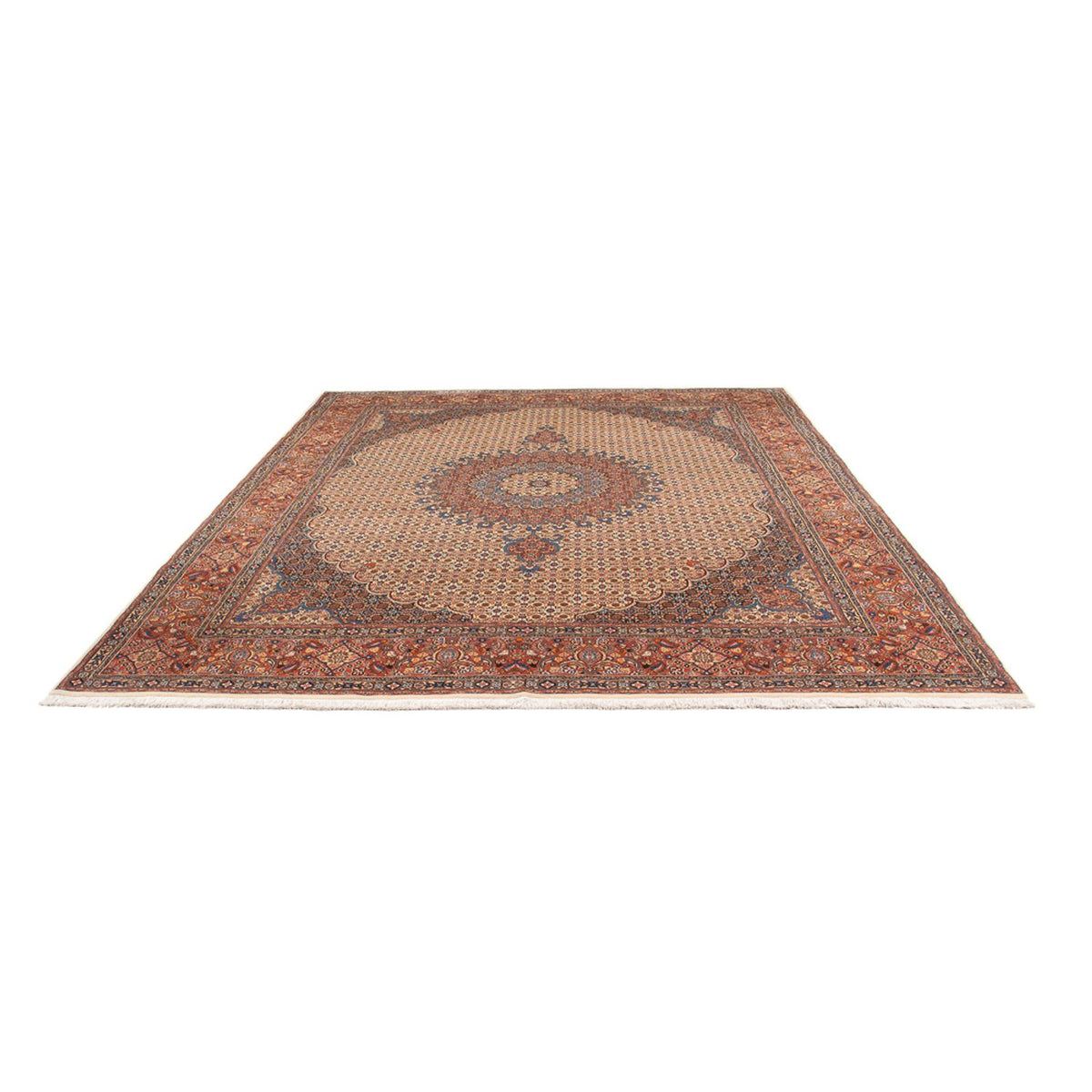 Tapis persan - Classique - 303 x 252 cm - beige foncé