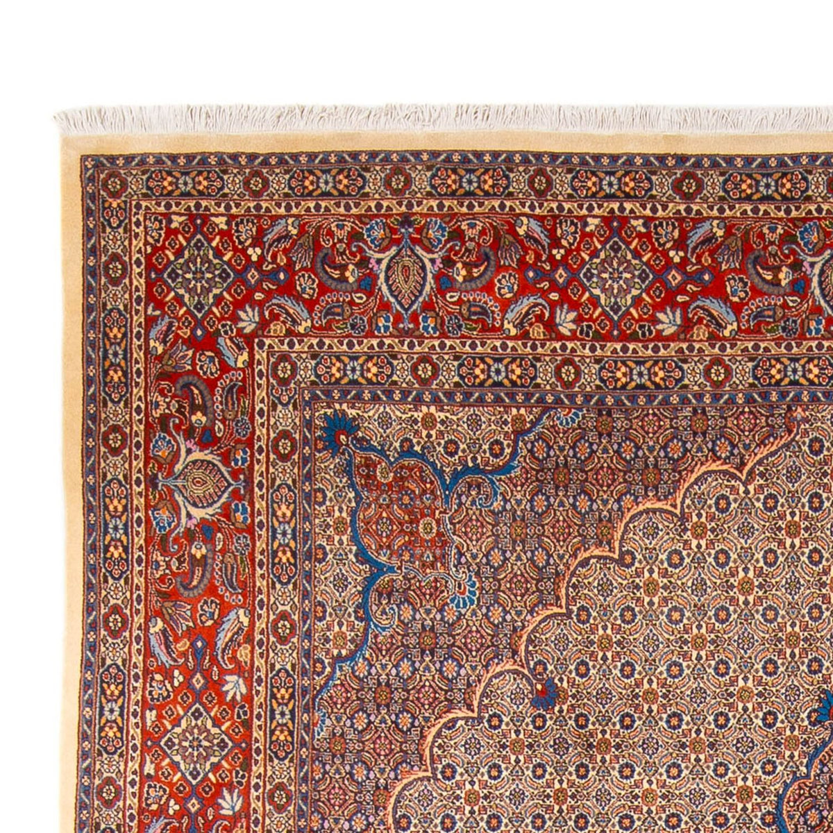 Tapis de Moud Tapis 252x360cm - Tapis persan