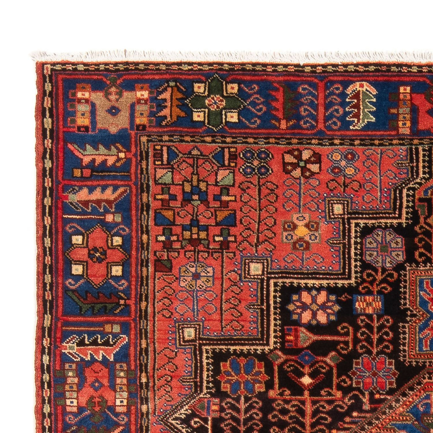 Tapis de Nahavand Tapis 205x148cm - Tapis persan