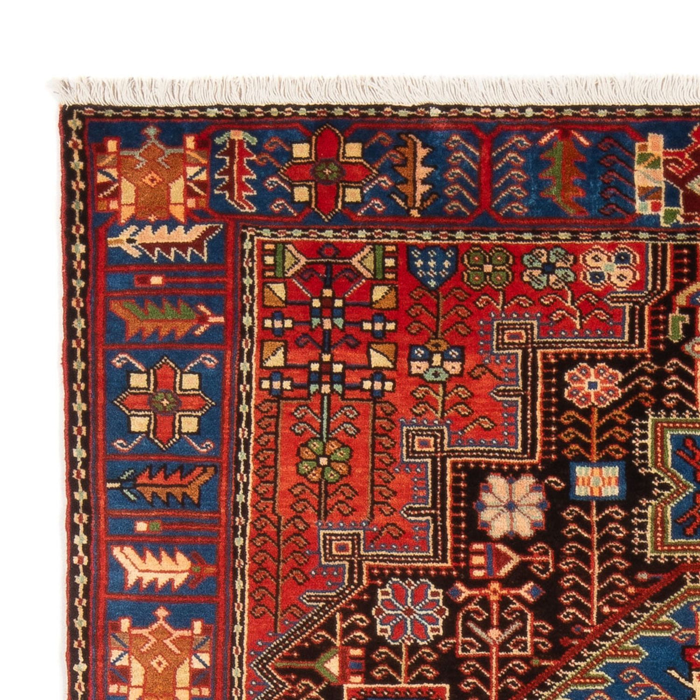 Tapis de Nahavand Tapis 210x132cm - Tapis persan