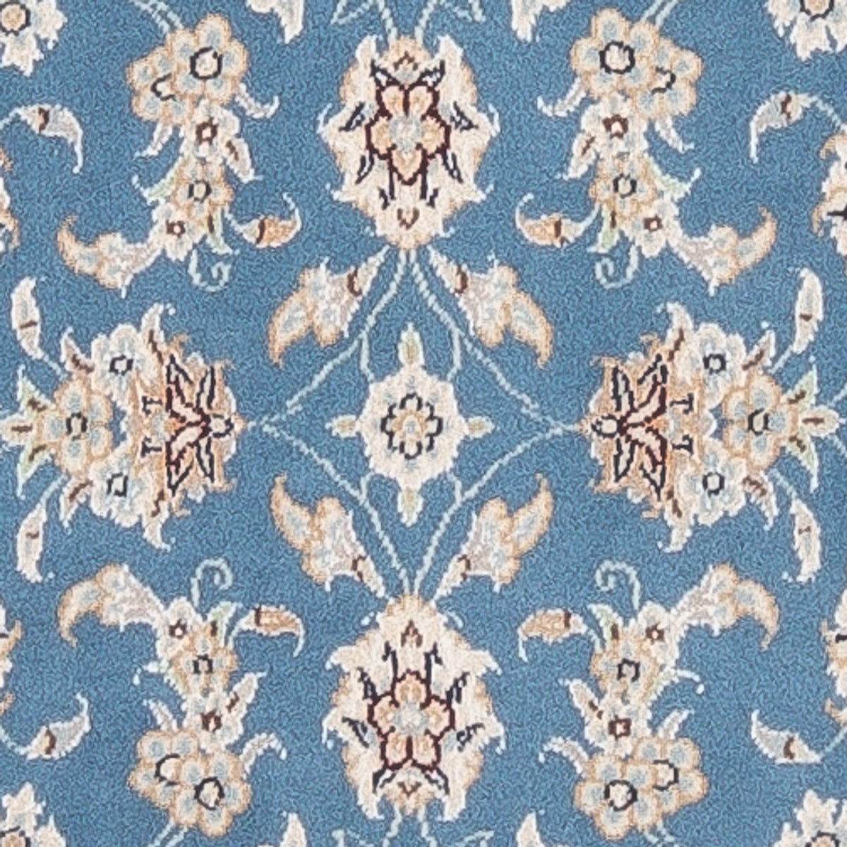 Tapis de couloir Tapis persan - Nain - Premium - 248 x 81 cm - bleu