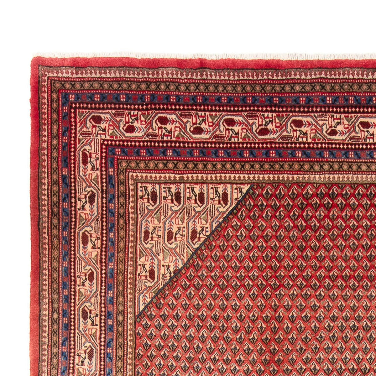 Tapis persan - Classique - 365 x 258 cm - terracotta