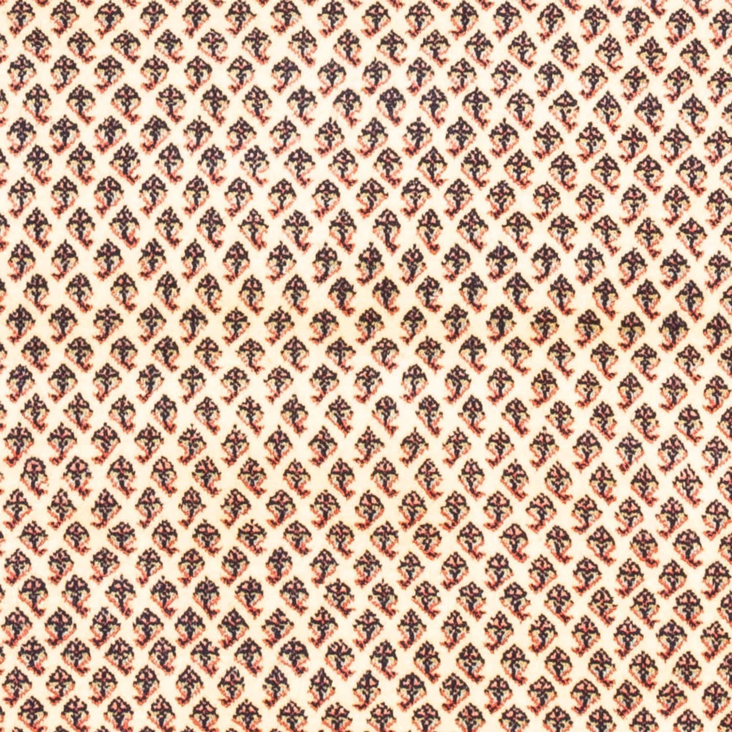 Tapis persan - Mir - 160 x 107 cm - crème