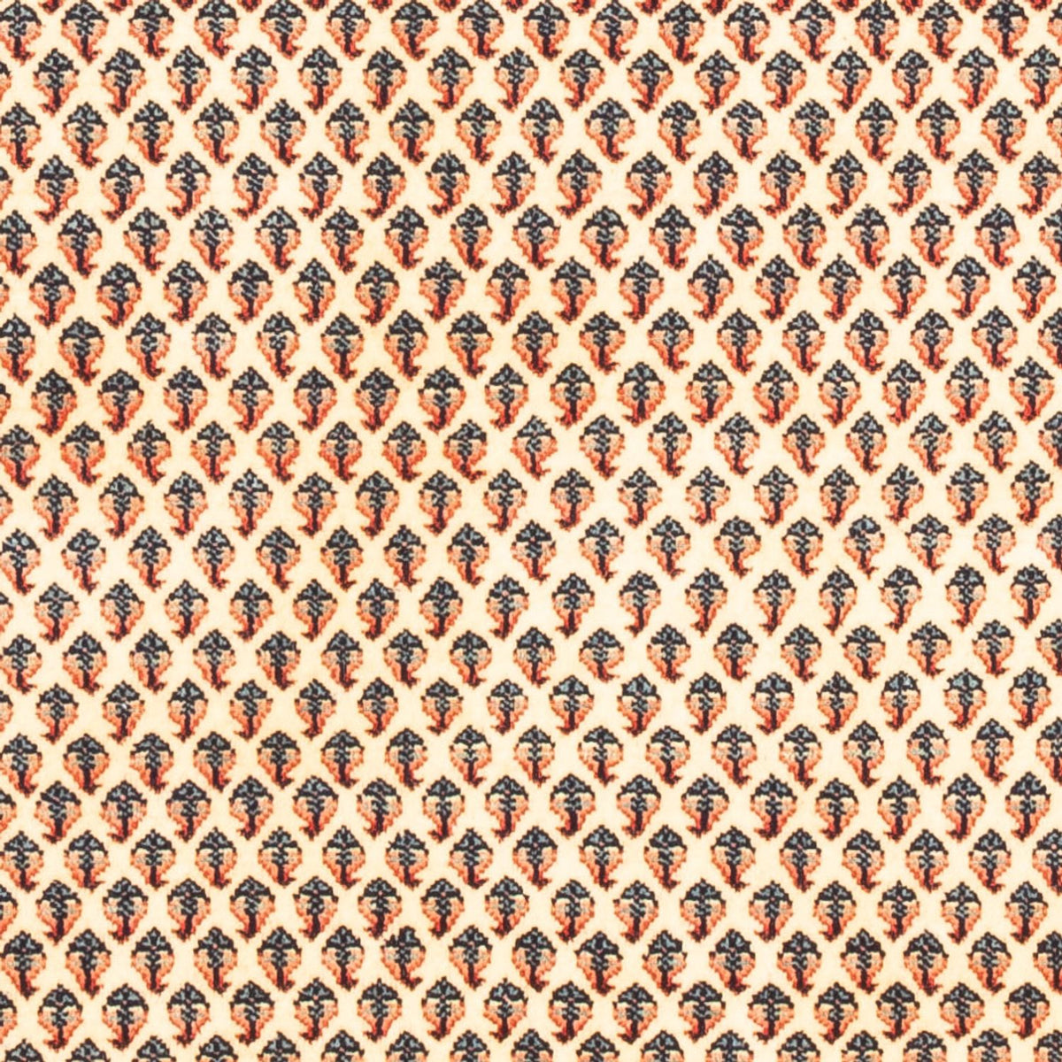 Tapis persan - Mir - 158 x 110 cm - crème