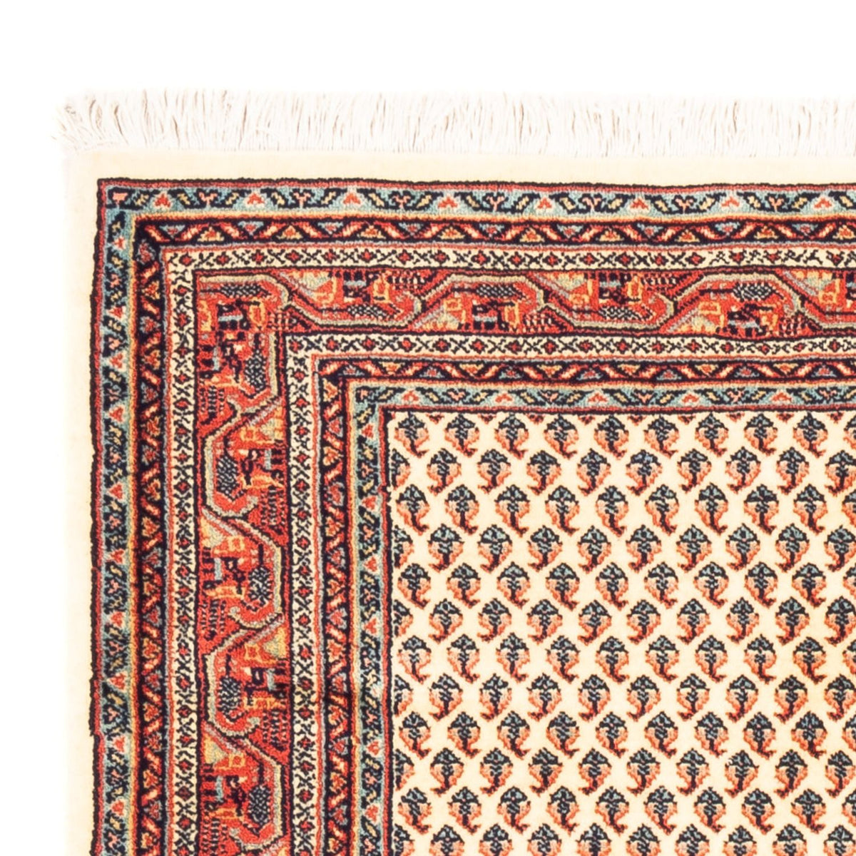 Tapis persan - Mir - 158 x 110 cm - crème