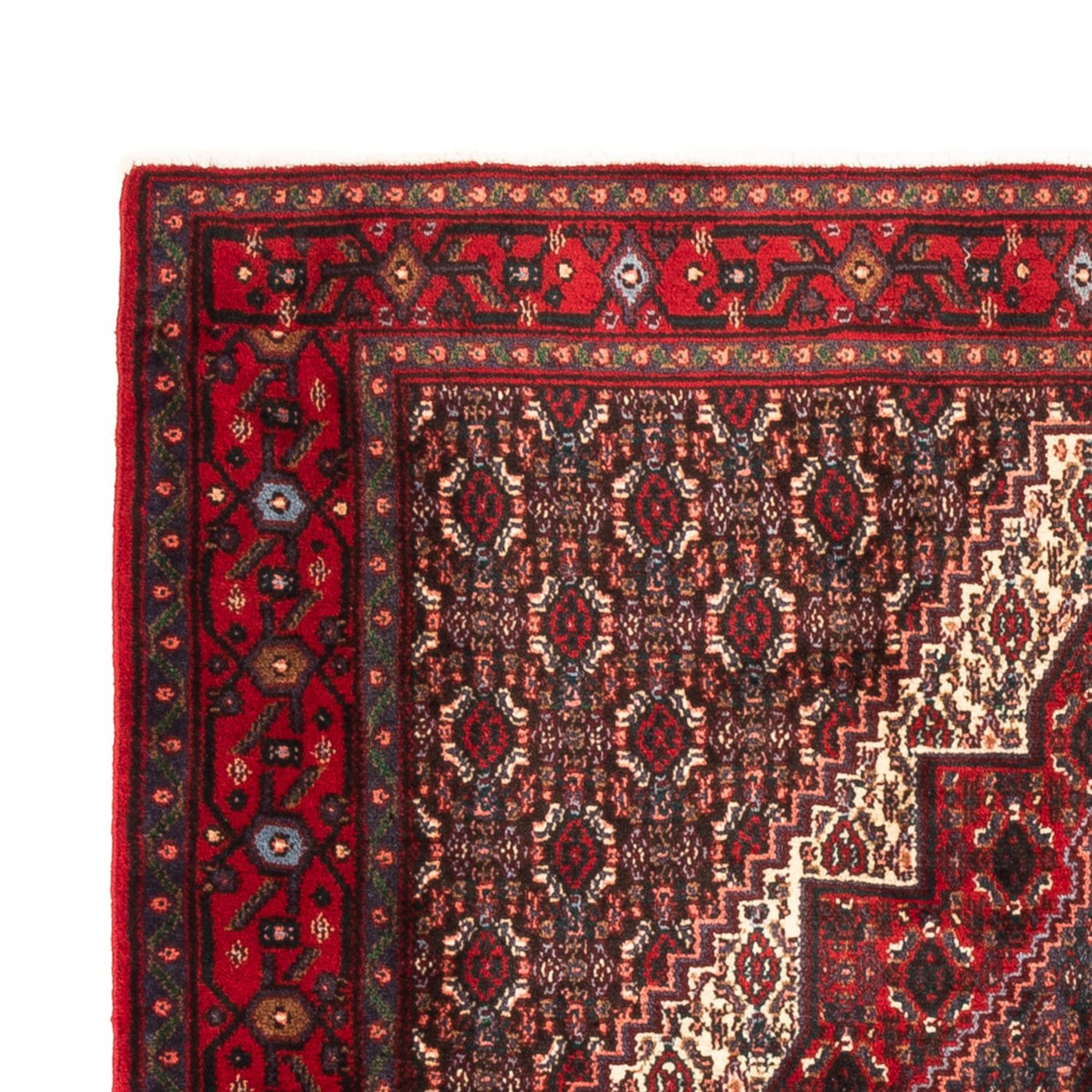 Senneh Tapis 145x123cm - Tapis persan