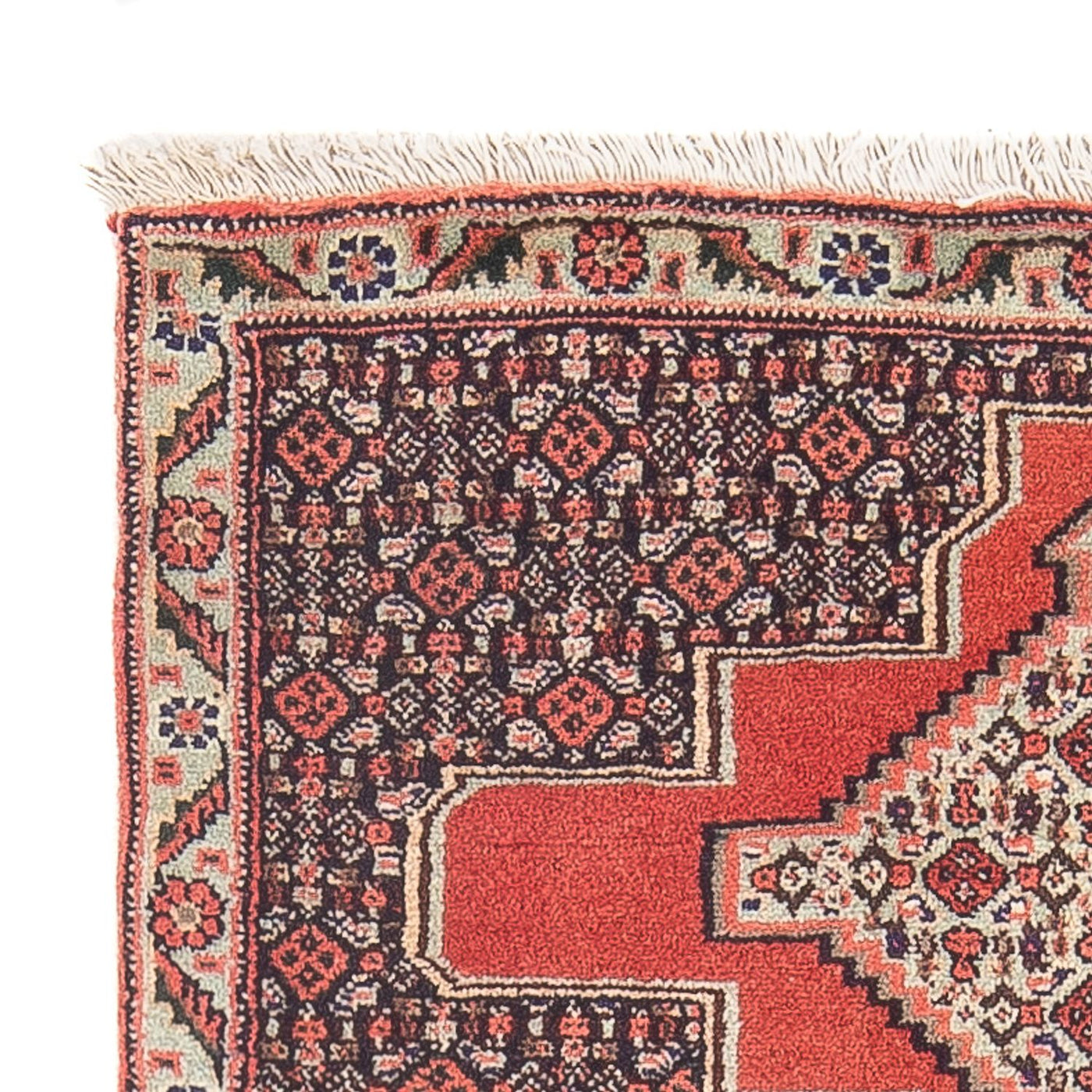 Senneh Tapis 98x72cm - Tapis persan