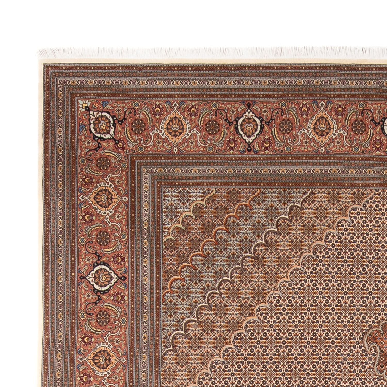 Tapis persan - Tabriz - 349 x 254 cm - marron clair