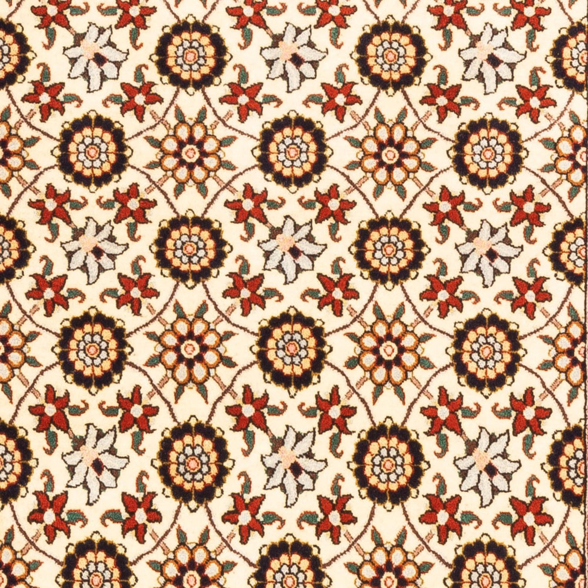 Tapis persan - Nomadic - 150 x 105 cm - crème