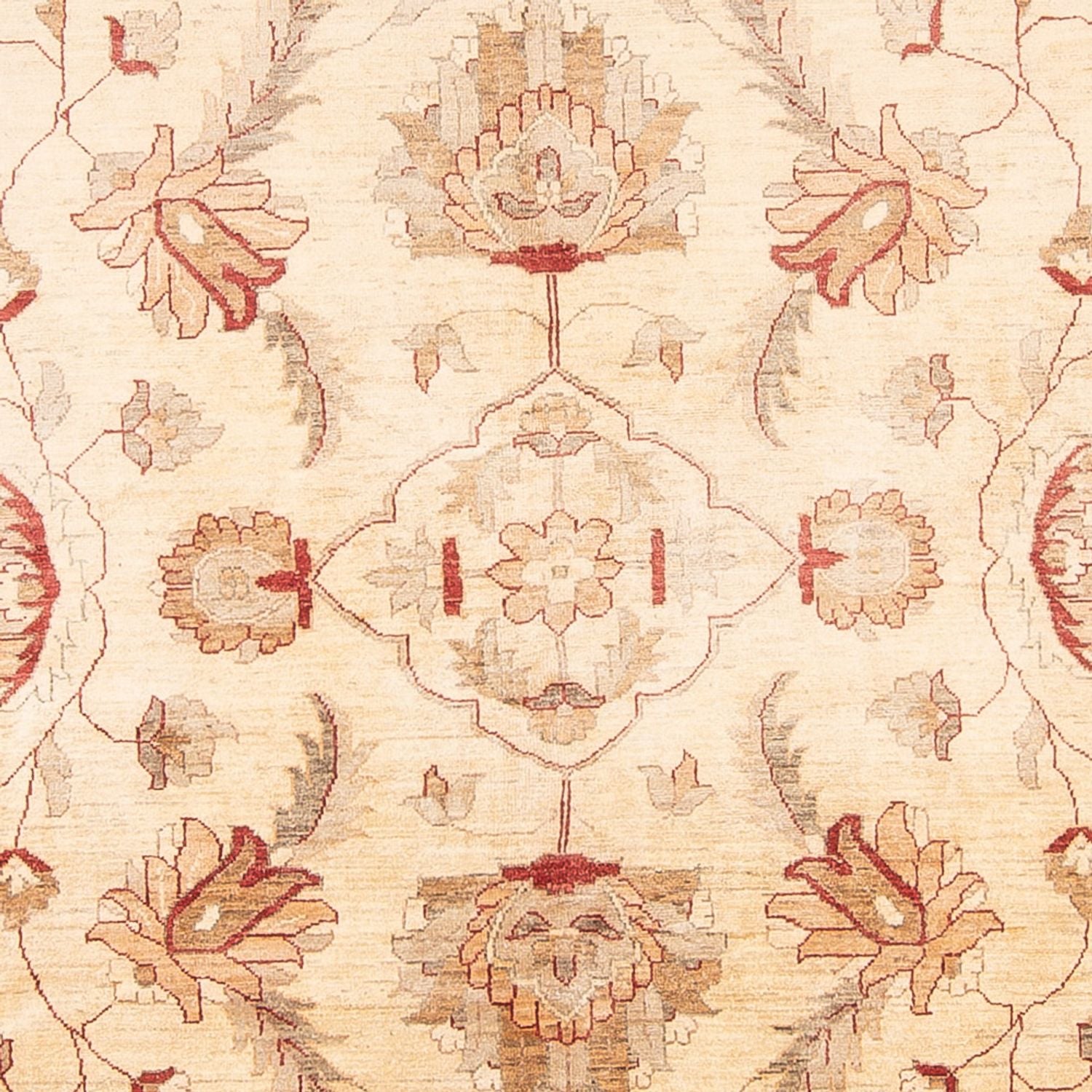 Tapis Ziegler - 455 x 308 cm - crème