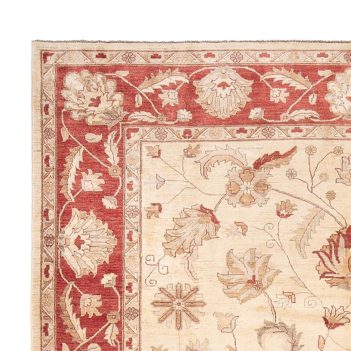 Tapis Ziegler 455x308cm - Tapis persan