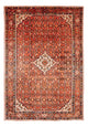 Kolyai Tapis 314x216cm - Tapis persan
