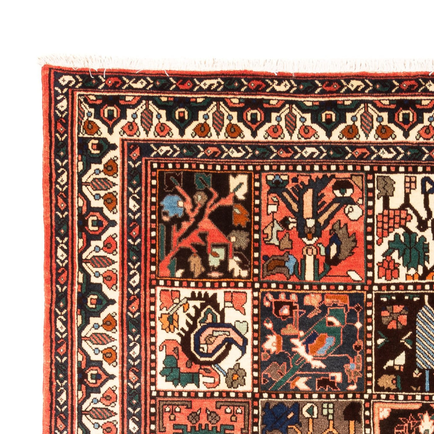Tapis Bakhtiari Tapis 300x205cm - Tapis persan