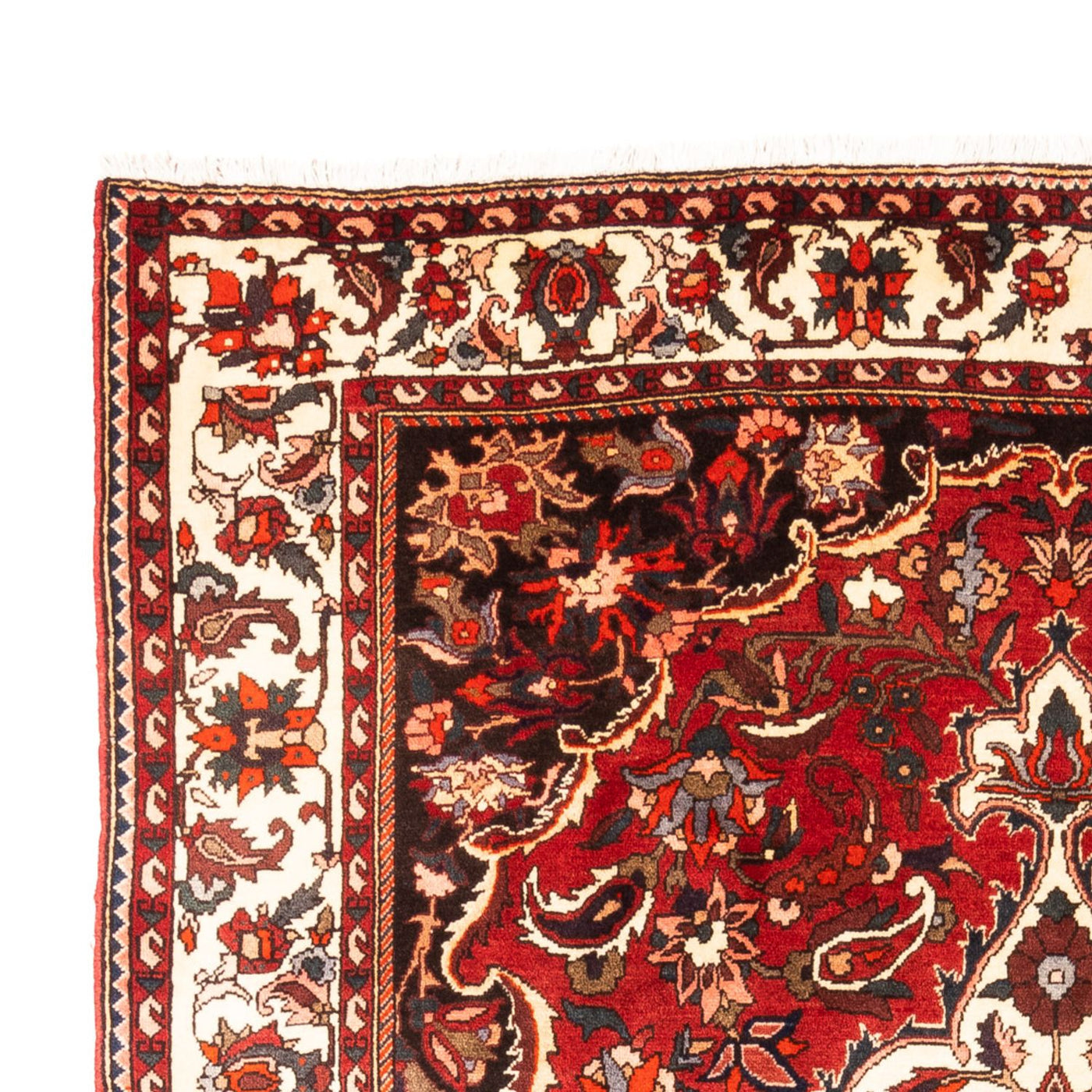 Tapis Bakhtiari Tapis 305x210cm - Tapis persan