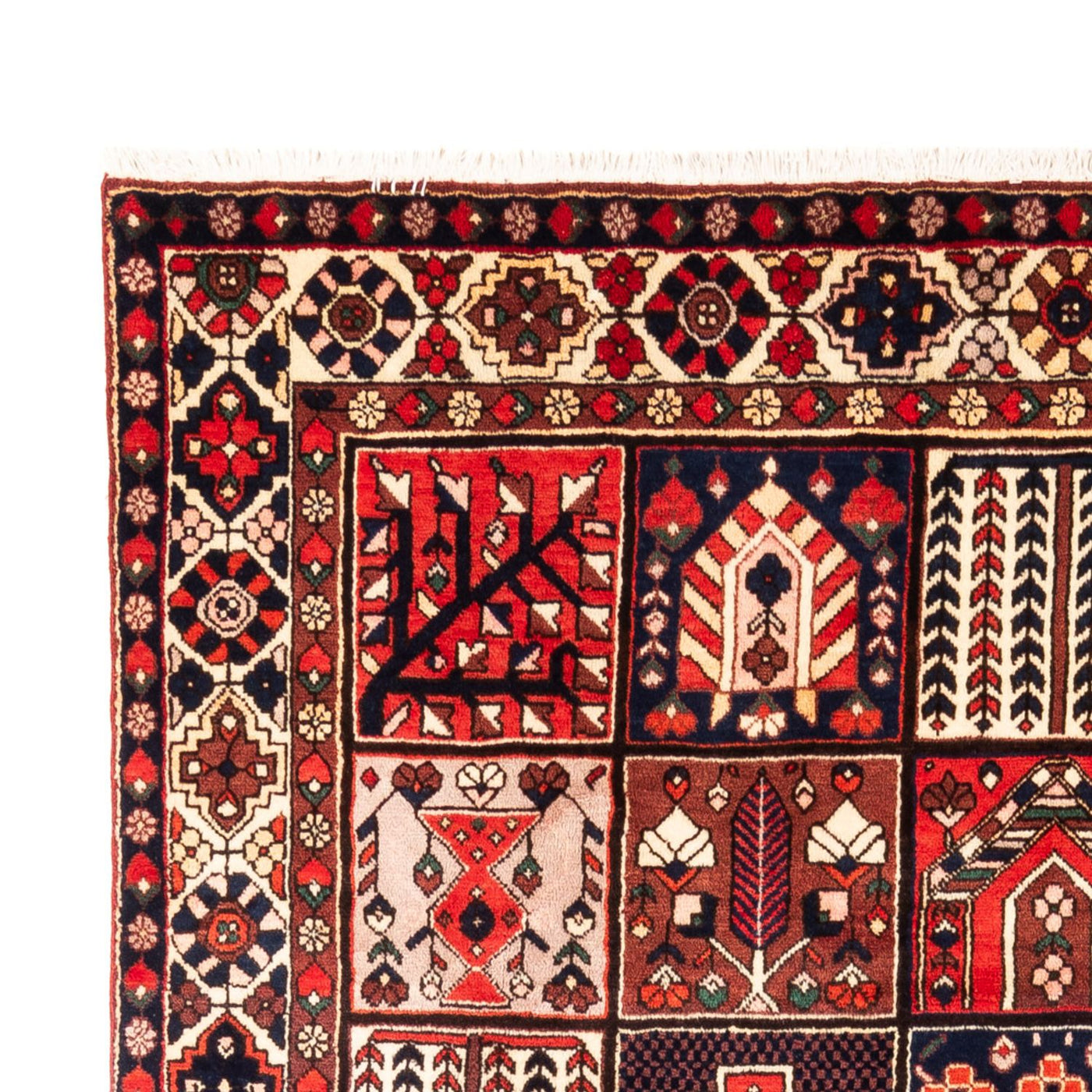 Tapis Bakhtiari Tapis 312x203cm - Tapis persan