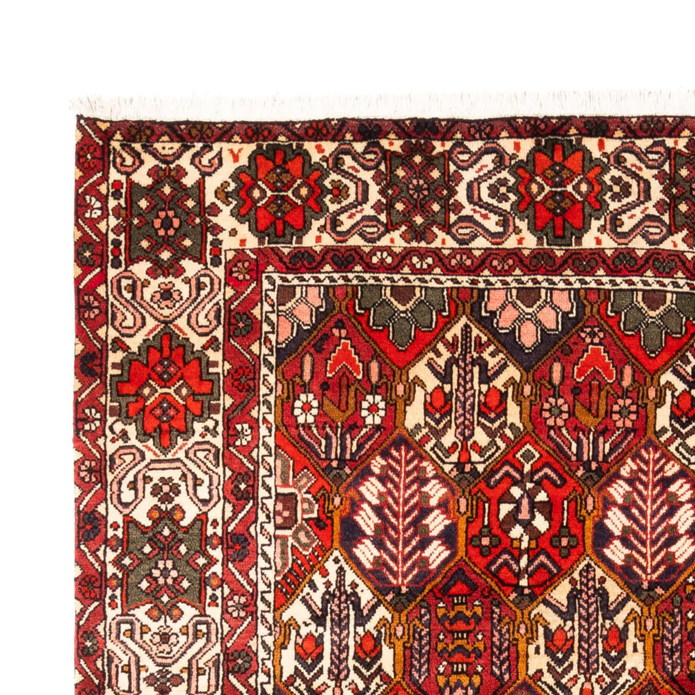Tapis Bakhtiari Tapis 310x210cm - Tapis persan