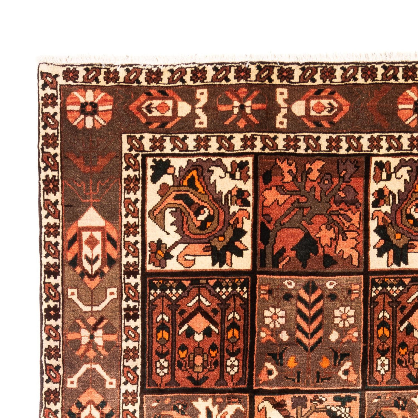 Tapis Bakhtiari Tapis 307x206cm - Tapis persan