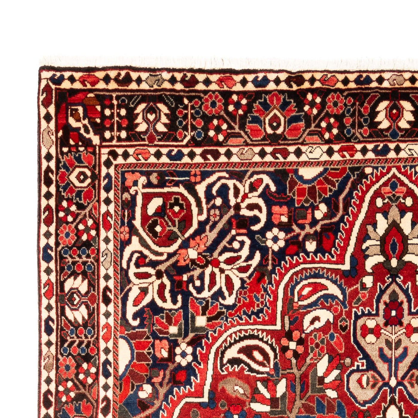 Tapis Bakhtiari Tapis 315x207cm - Tapis persan