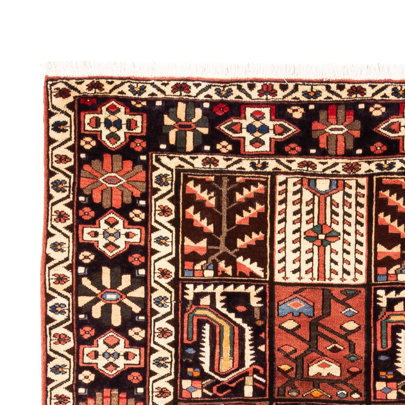 Tapis Bakhtiari Tapis 290x200cm - Tapis persan
