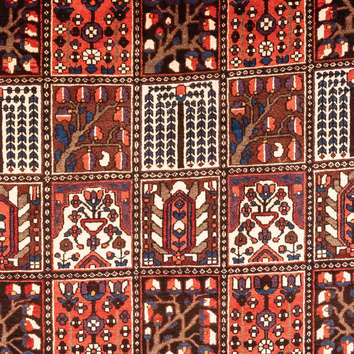 Tapis persan - Nomadic - 317 x 210 cm - multicolore