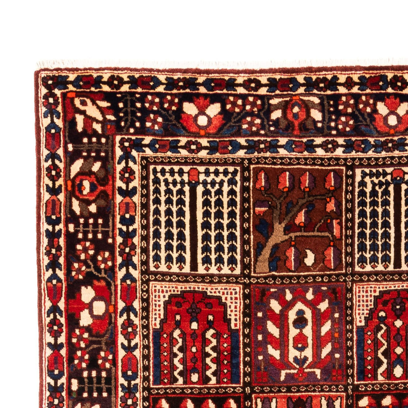 Tapis Bakhtiari Tapis 317x210cm - Tapis persan