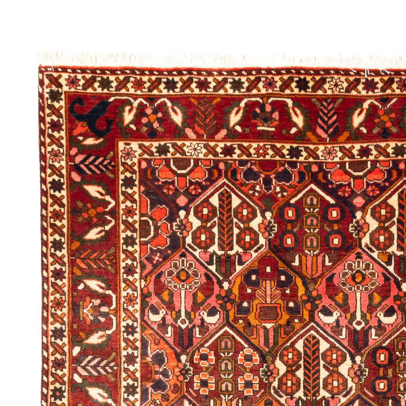 Tapis Bakhtiari Tapis 308x210cm - Tapis persan