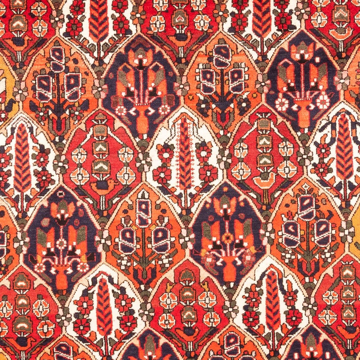 Tapis persan - Nomadic - 300 x 220 cm - multicolore