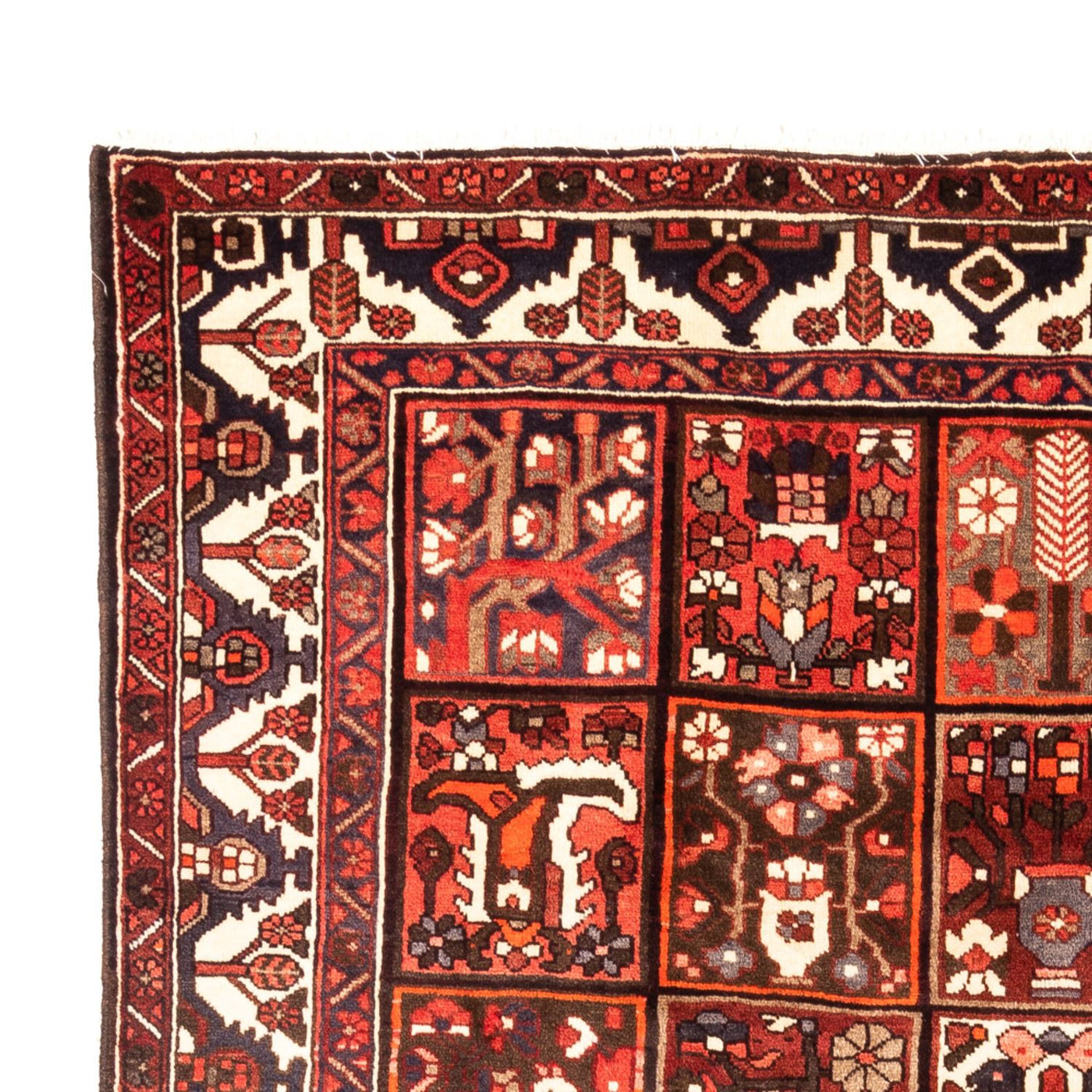 Tapis Bakhtiari Tapis 307x205cm - Tapis persan