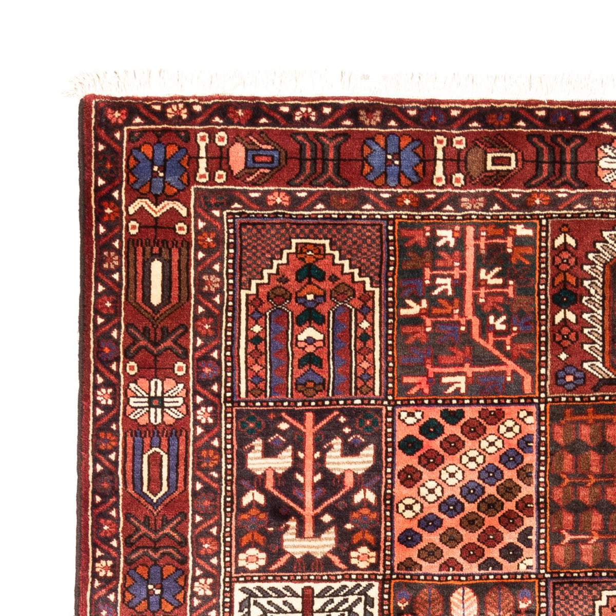 Tapis Bakhtiari 208x310cm - Tapis persan - multicolore