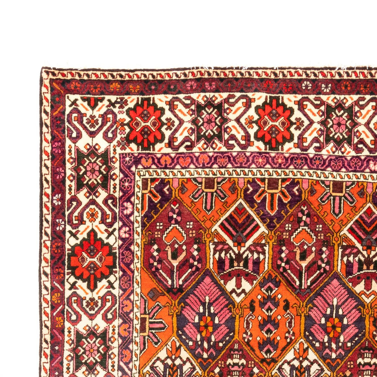 Tapis Bakhtiari Tapis 203x310cm - Tapis persan