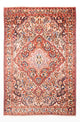 Tapis Bakhtiari Tapis 312x214cm - Tapis persan
