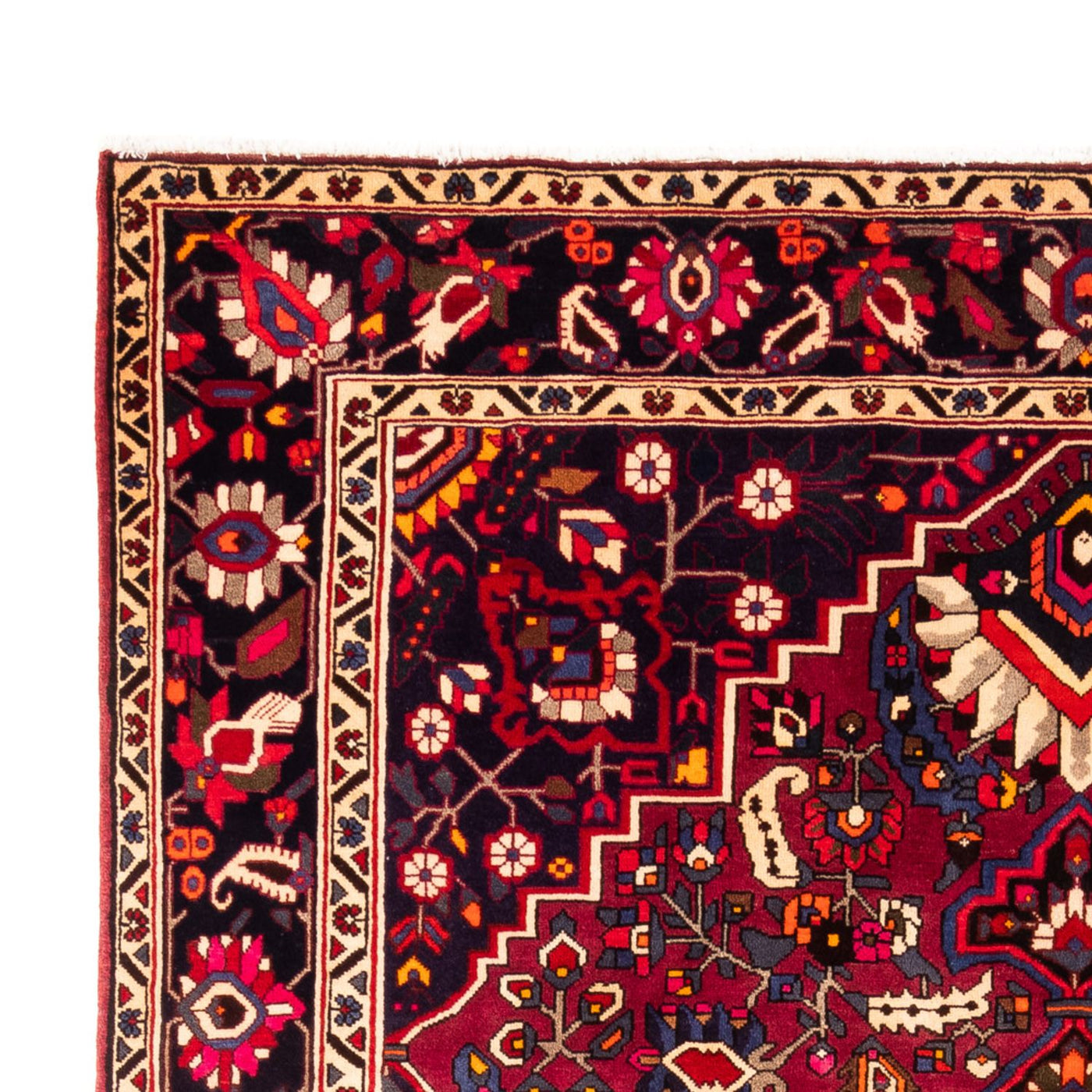 Tapis Bakhtiari Tapis 312x215cm - Tapis persan